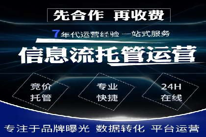 SEM广告投放的技巧与策略——成功案例分享